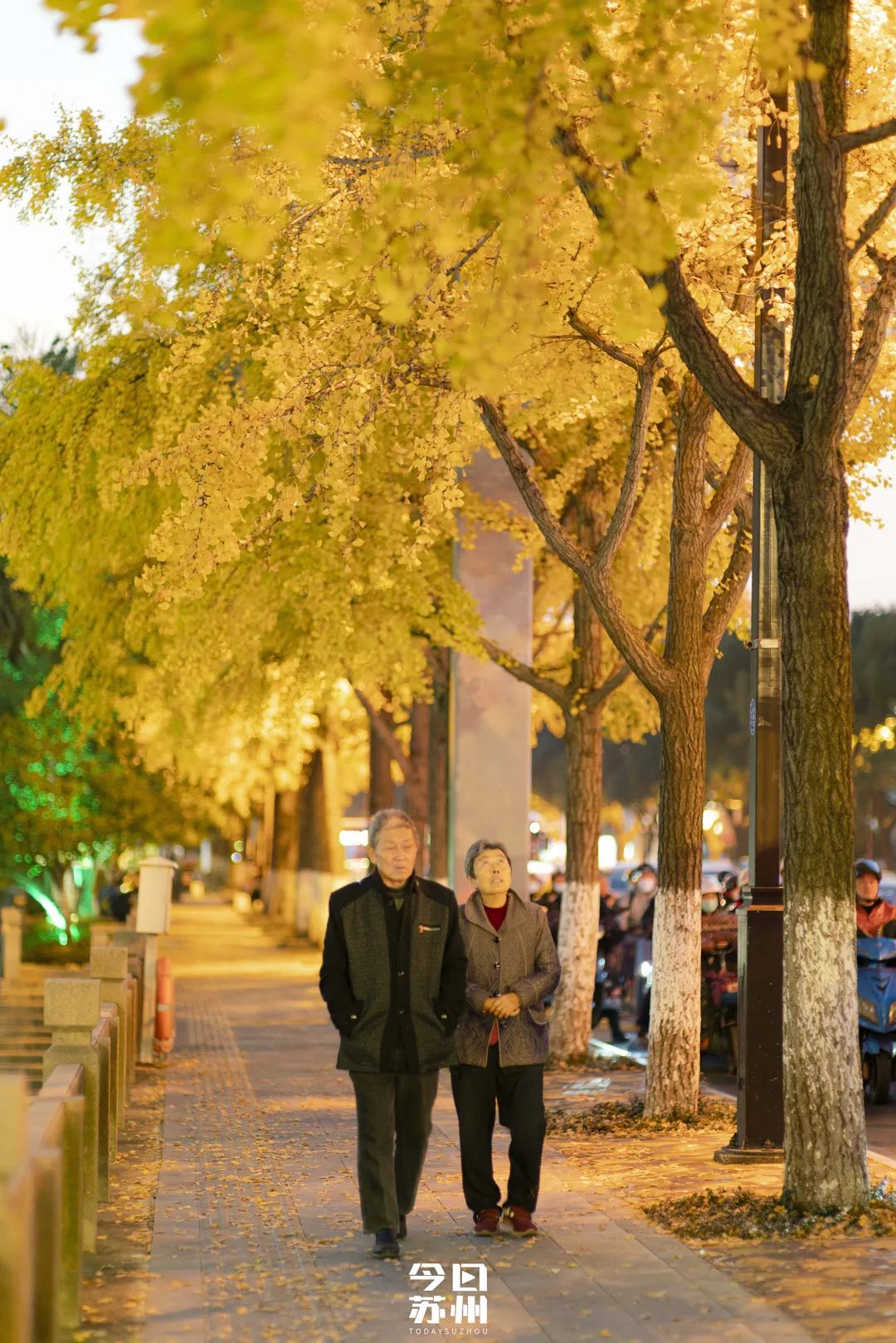 苏州16个绝美赏秋圣地，大部分免费，别错过