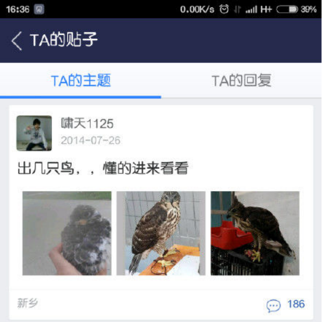 2014年，河南大学生抓16只鸟被判10年，其父喊冤：他只是个孩子