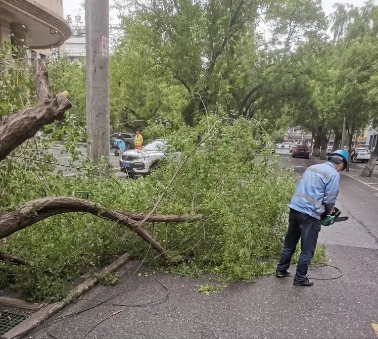 ������԰���̻��ӿ�������·�ϵ�����ľ ���ϵ�·��ȫ