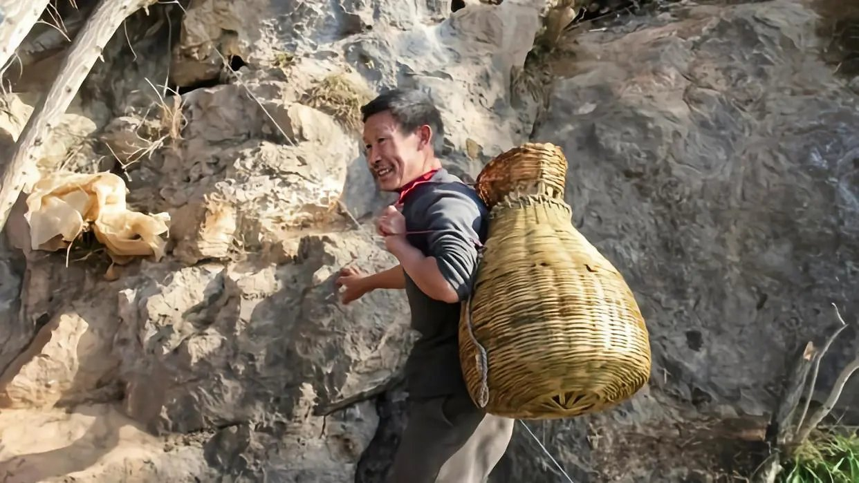 ����Ƥ�Ҵ壺������ɽ����100���꣬ר�ң����㲻�ܳ�