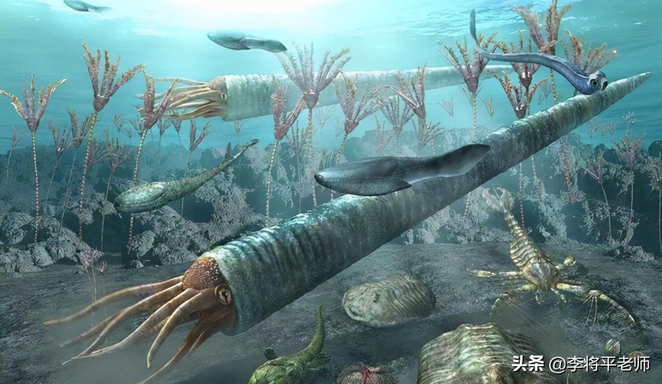 奥陶纪时期的地球霸主:恐怖巨物房角石海中霸主看看这家伙,庞大的身躯