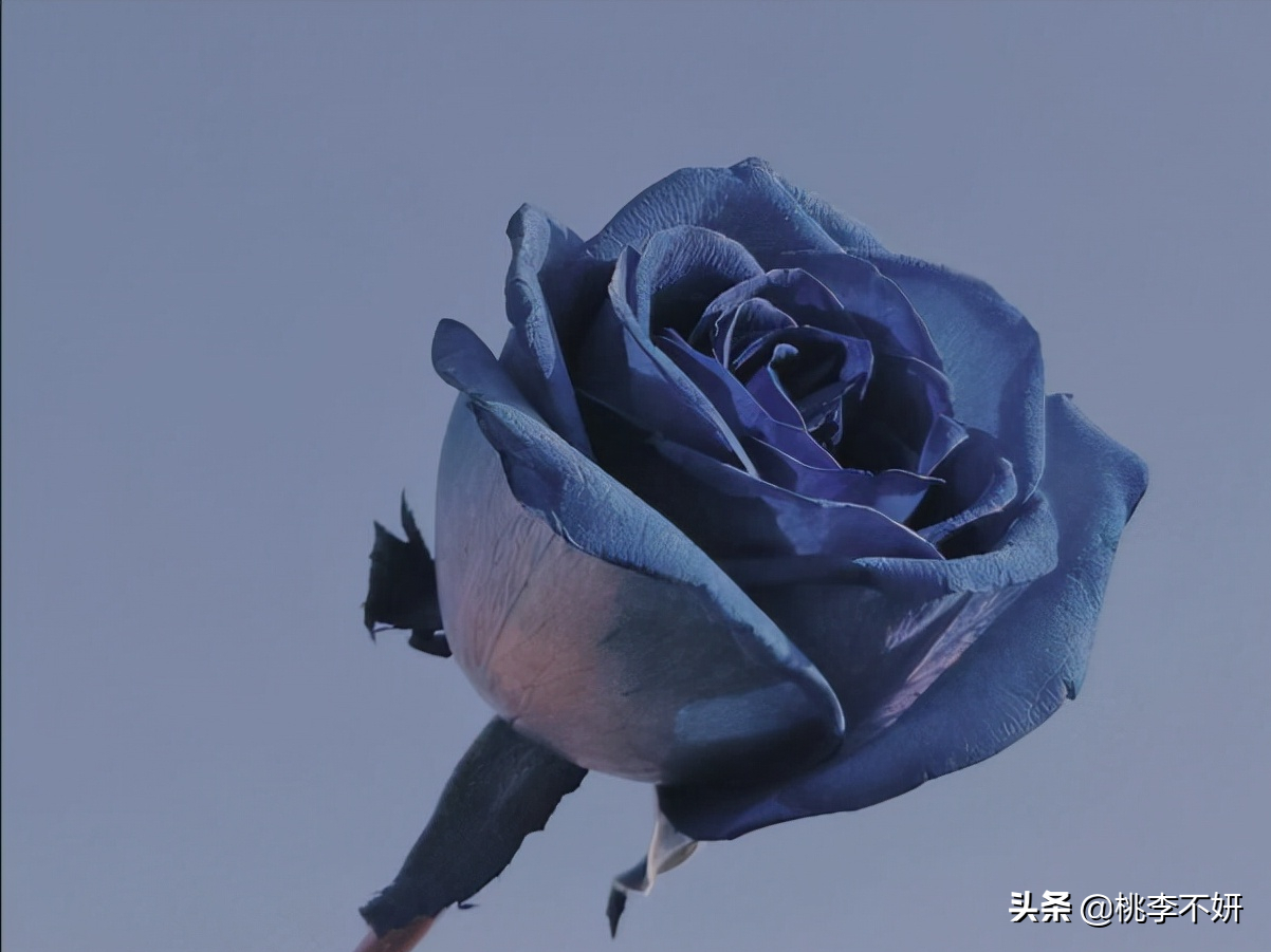 有些朋友圈，该屏蔽了