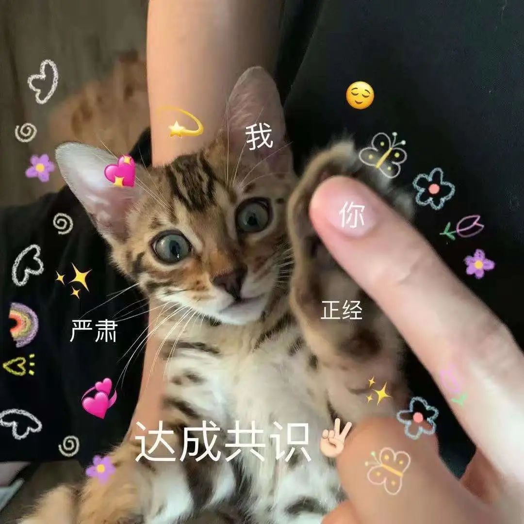 干货 | 简历中都要写什么？