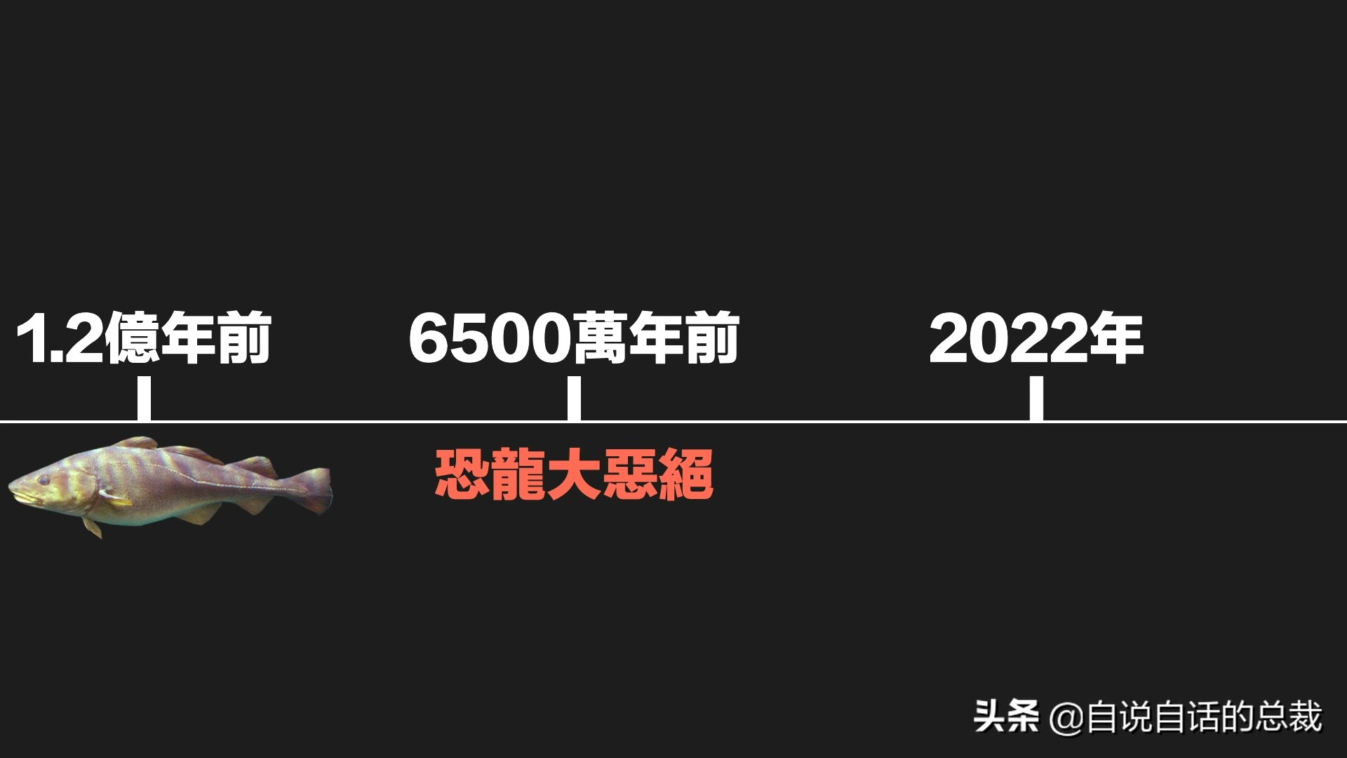 为什么买到的鳕鱼都是假的？这背后，原来是它曾经改变世界的故事