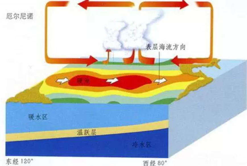 йɳĮɭֿ֣ȴ67%ȵĸԴҵˣ