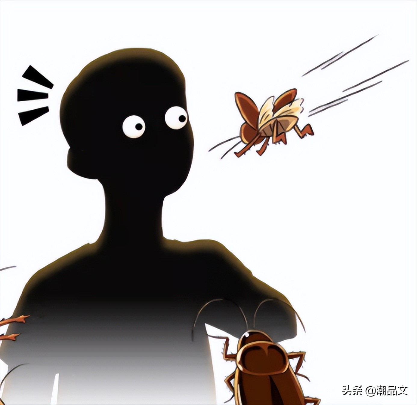 蟑螂飞来飞去什么原因(蟑螂飞进来还会飞出去吗) - 风集网