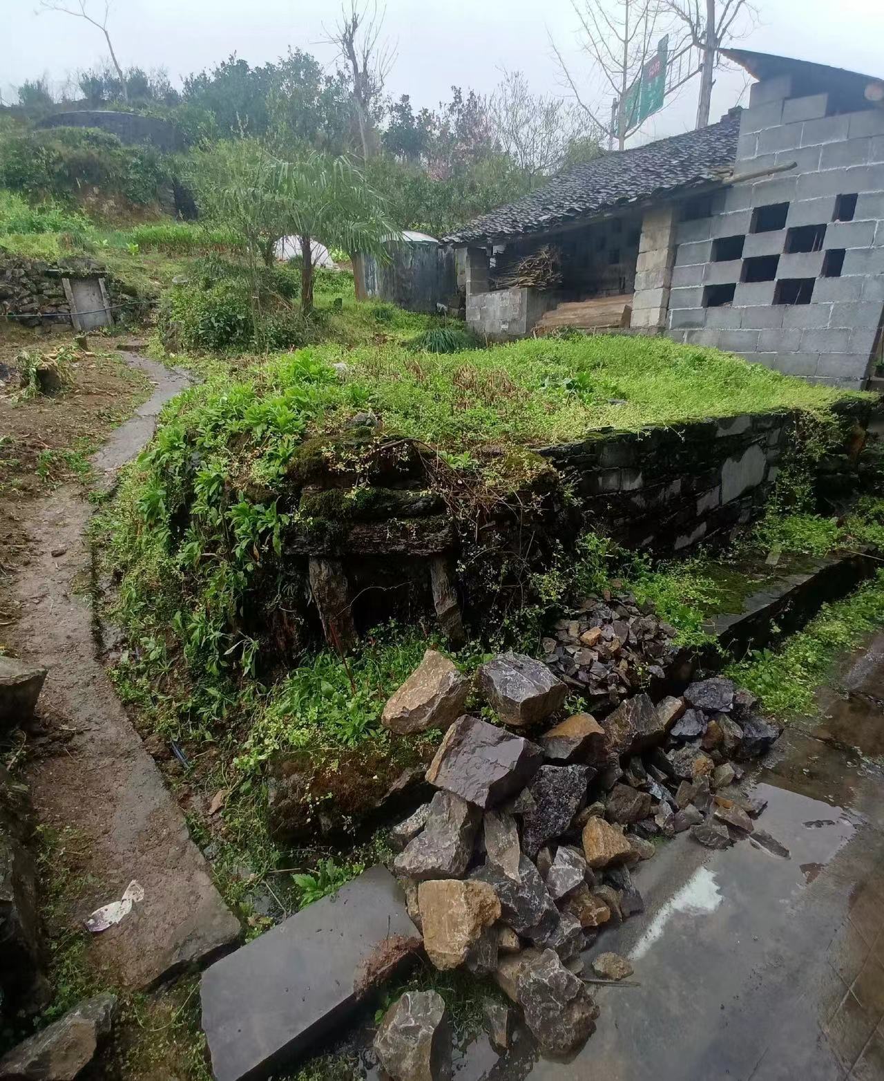 台湾省女星刘乐妍辛苦攒钱，回湖北修祖坟，自己却住几百块出租房
