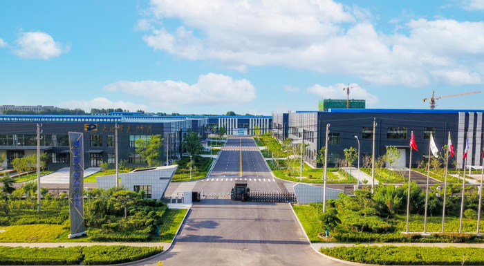 “世界风筝之都”缘何成为山东单项冠军第一城？