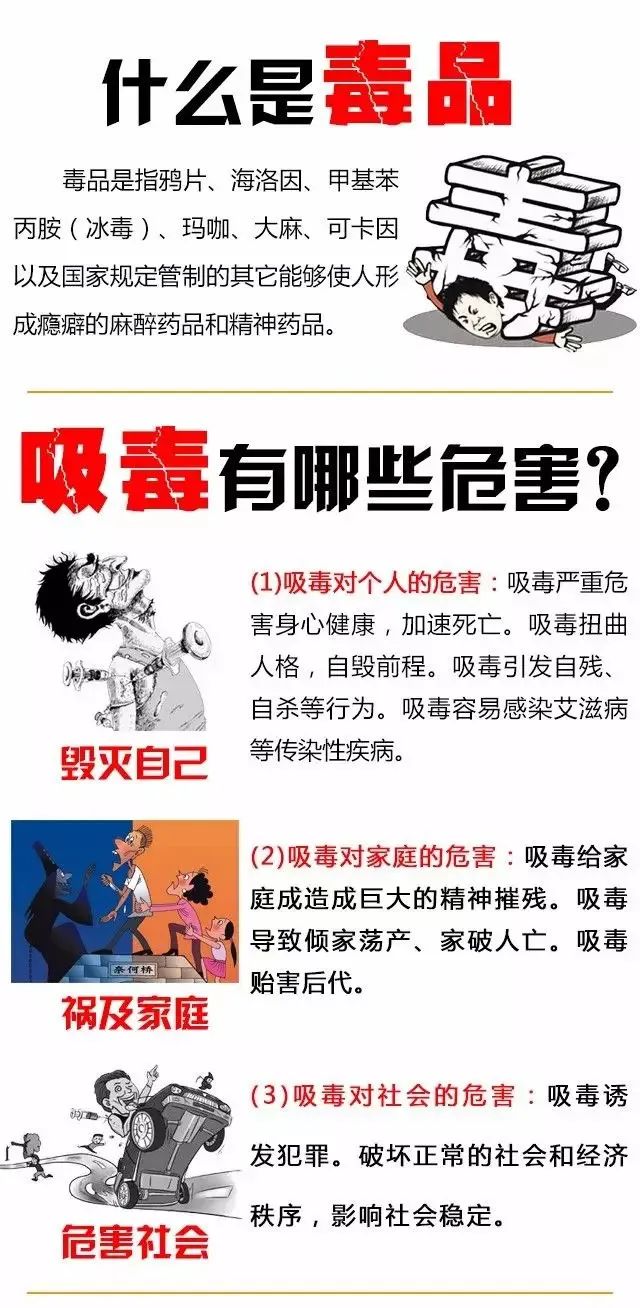 成都市双流区金桥小学加强对学生进行禁毒知识宣传教育