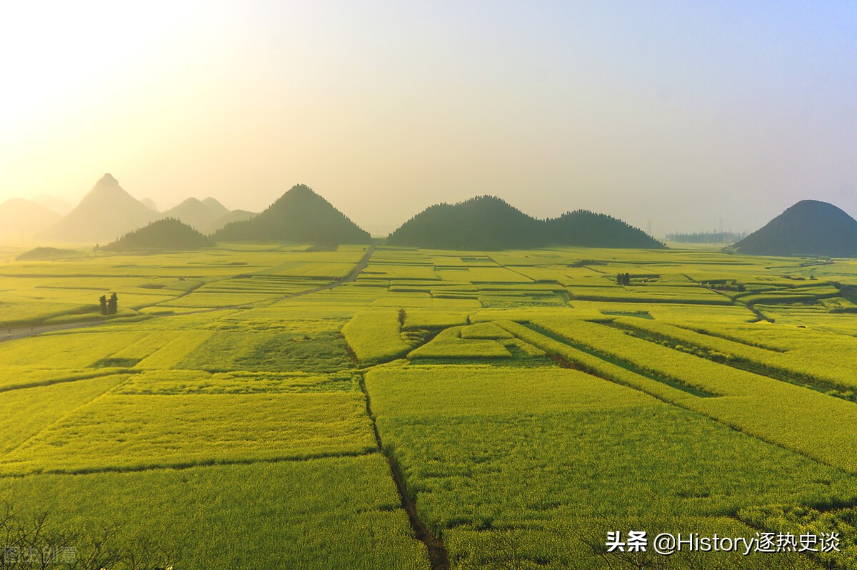 中国是从哪个朝代开始正式有村长的？