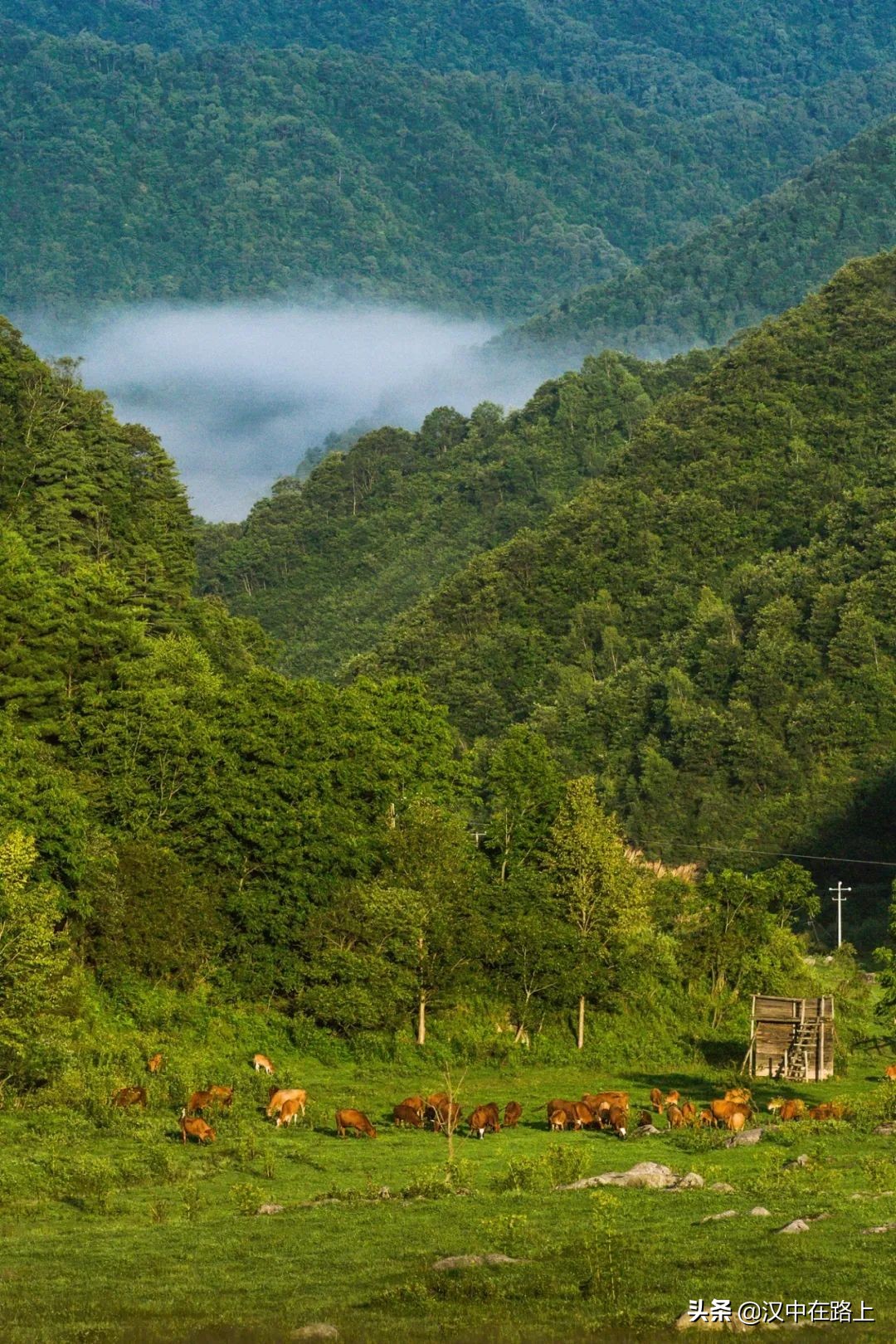 信號滿格！這個(gè)五一來漢中獅子溝牧場，大片隨時(shí)分享