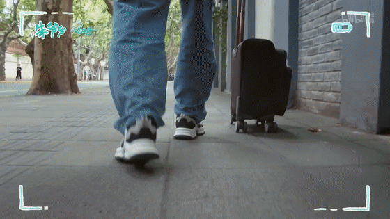 内娱最社恐的一群人凑在一起，反而让节目火了？