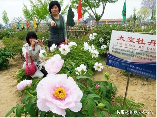 中俄国际文化艺术形象大使蔡云启作品展