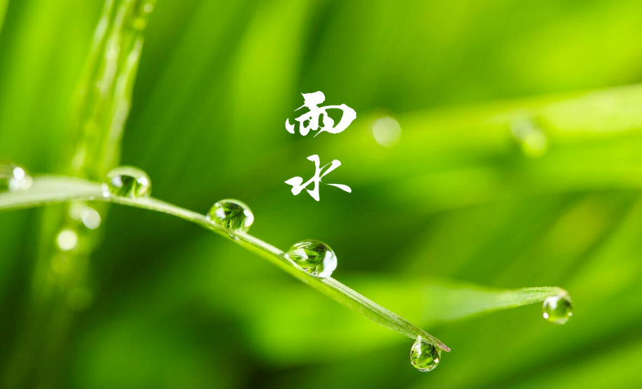 雨水 | 及时雨，窗外听，十首春雨的诗词，一朝春雨，润物无声