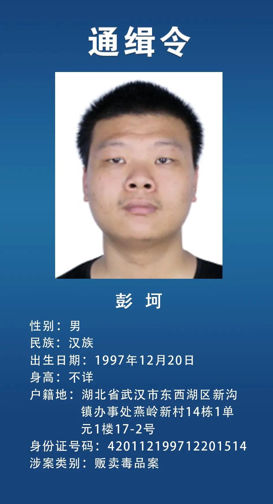 网上通缉犯,网上通缉犯怎么查