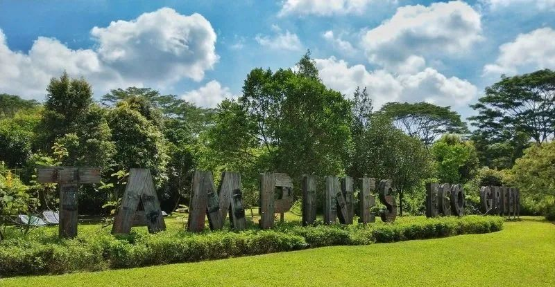 新加坡旅游景点推荐（123个又美又好玩的宝藏景区!）-第65张图片
