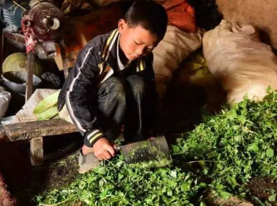 13年前，35岁中国保安娶26岁美国外教，他们现状如何？