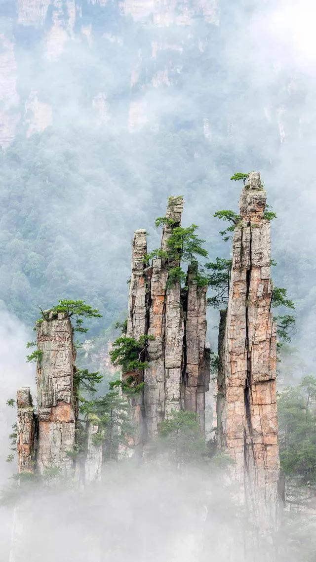 你从不说爱，我从不缺爱，父亲节暖心文案，适合发圈