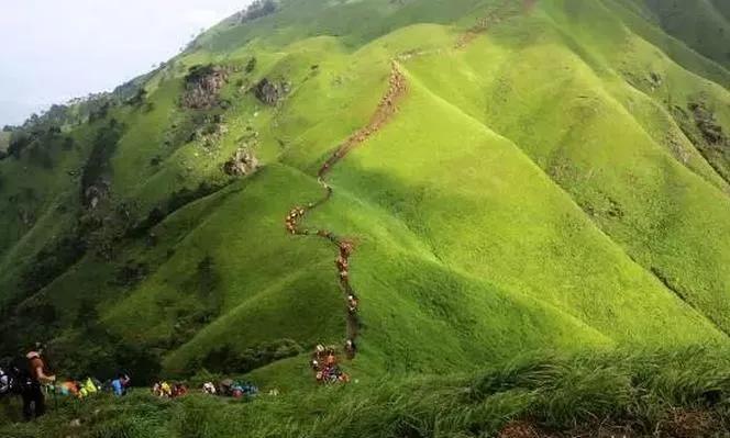 这些旅游景区你都知道吗？！江西风景独好