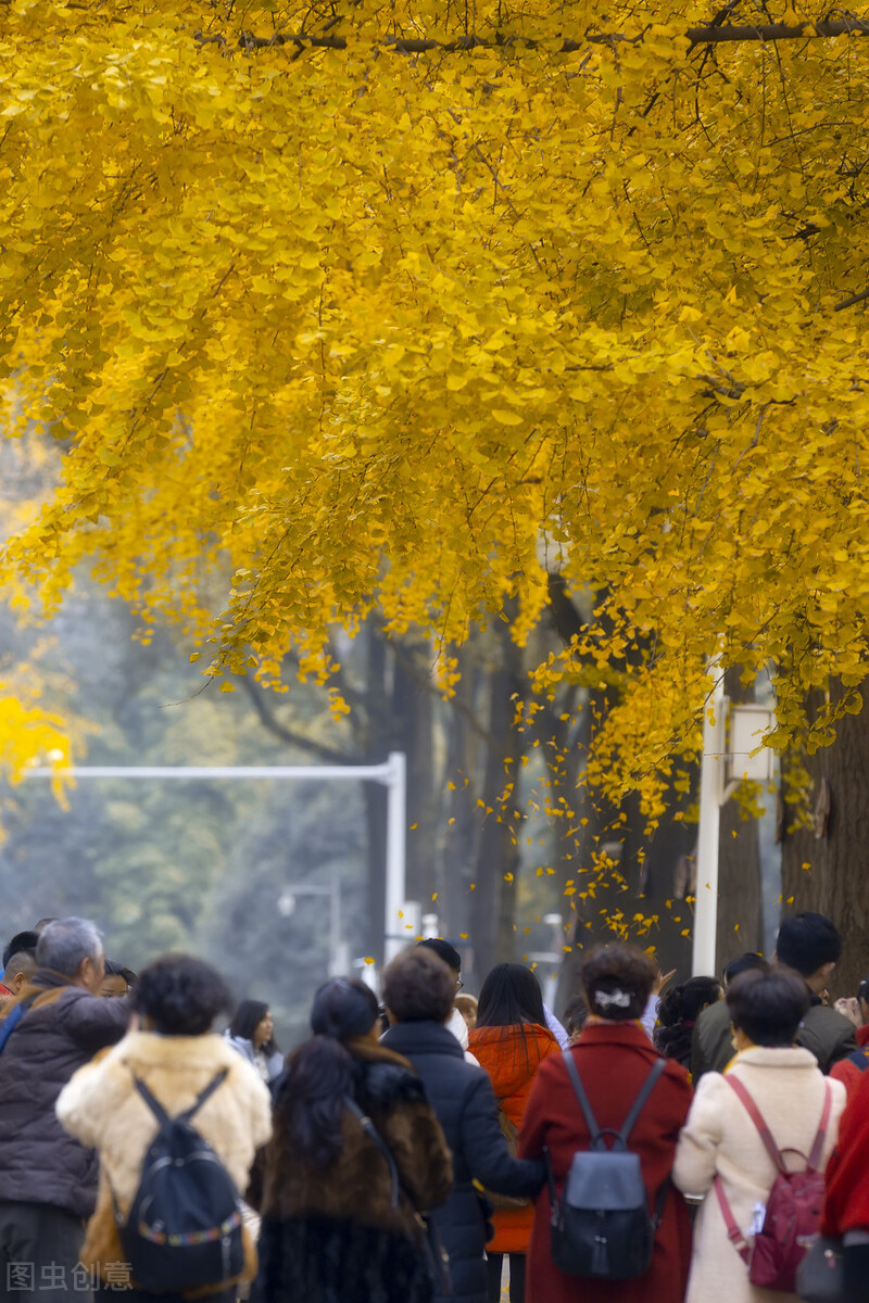 预期翻番的三个数字货币强势品种分析