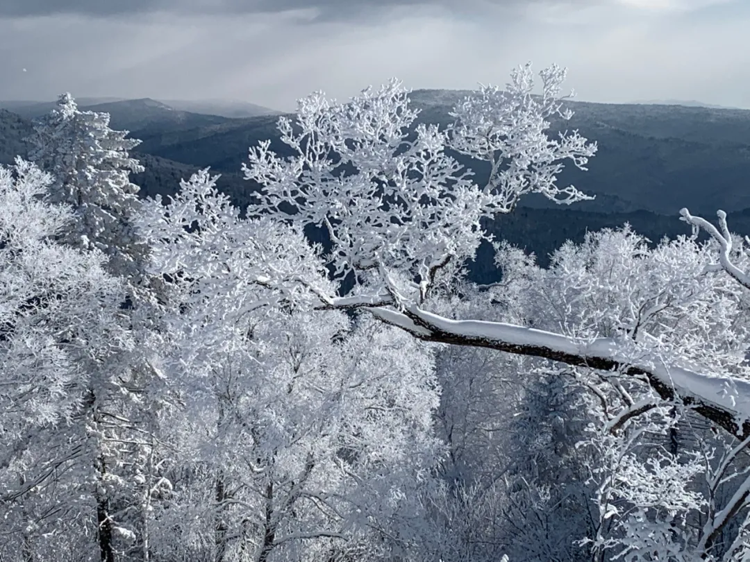 登高眺远景秘境身心愉冬日，来一场任性的雪山游