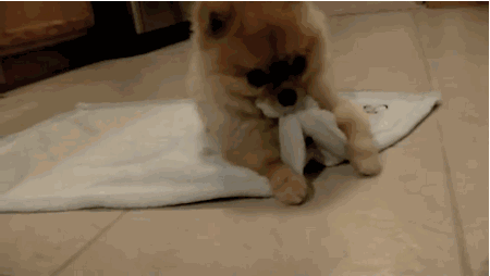 住酒店时，为什么不能住最后一间房？看完直起鸡皮疙瘩