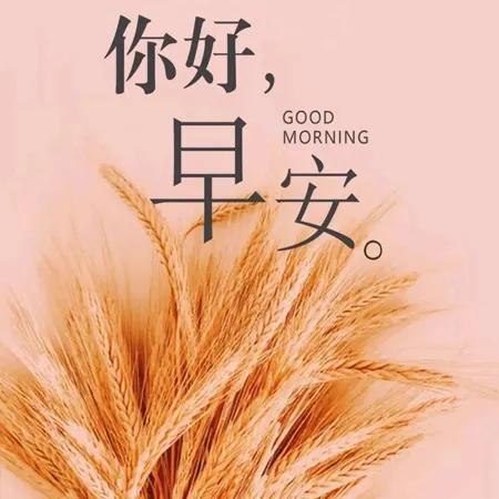 美好的一天从清晨开始表情包「美好的一天从清晨开始」_爱阅读