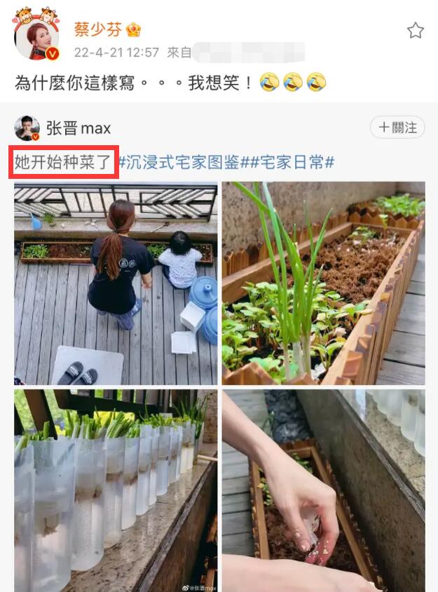 是女明星也是“菜农”！柳岩吃过刘亦菲种的茄子，张馨予家有农场