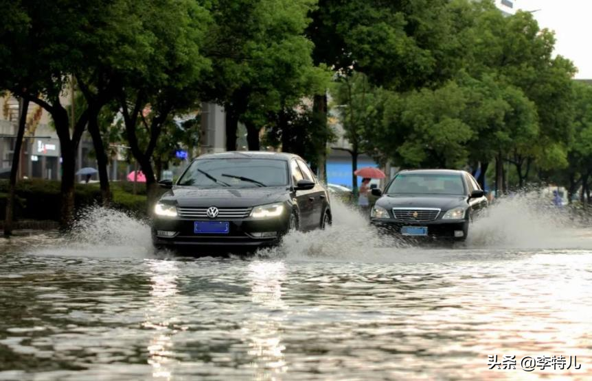 暴雨成河，比亚迪海豚秒变真海豚“河中游泳”，网友：爱车很受伤