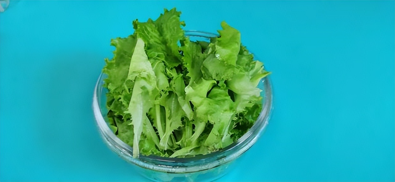 北理工学子用AI种出“零碳”零农残的绿色“科技蔬菜”