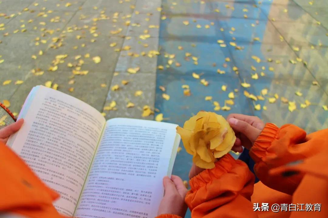 秋冬美图来袭① | 为你喜欢的校园美景投票吧