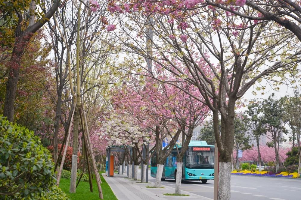 ������ء�ӣ���޶��������������ȡ��ۡ���