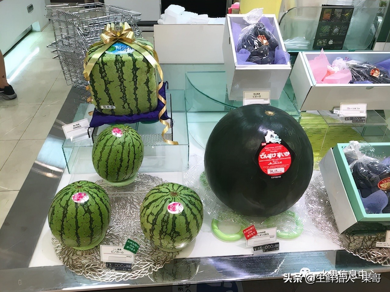水果的一家（水果店的水果）
