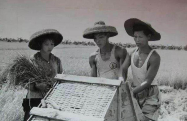 找个大学生日老婆（20岁重庆知青娶31岁带4娃寡妇）