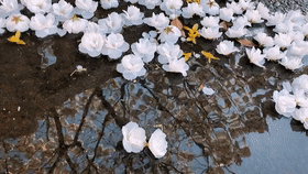 6则寓言，故事很短，道理很深，令人深思