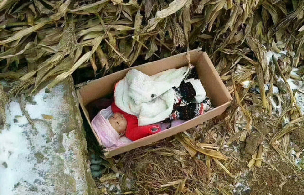 50岁拾荒老人养育遗弃女婴，如今女儿卖掉公司，买房车带父亲旅游