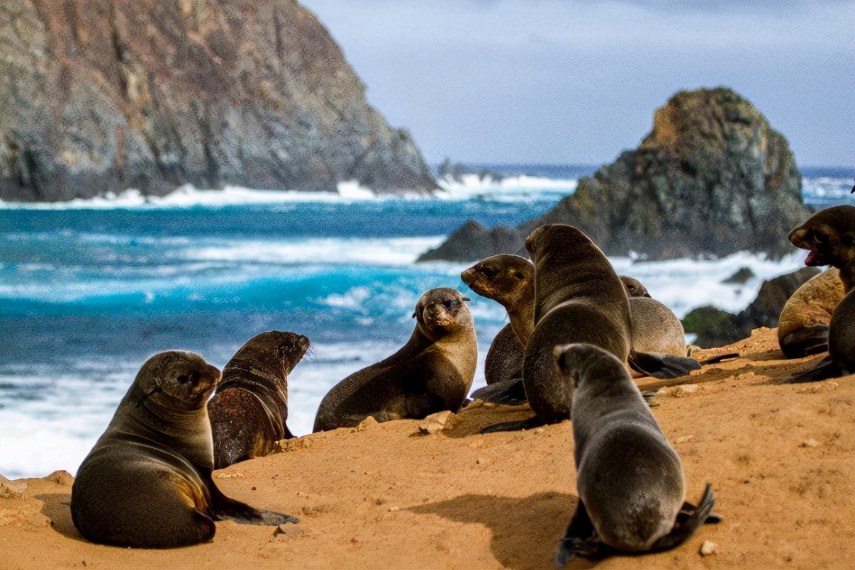 全球携手低碳减排，联想集团以科技推动可持续发展