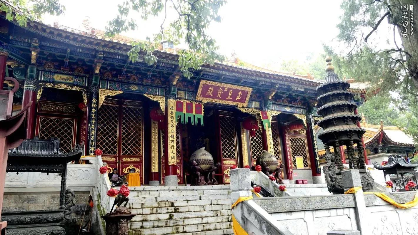 昆明三公园C位出道：一个野性十足，一个文化厚重，一个拼多样性