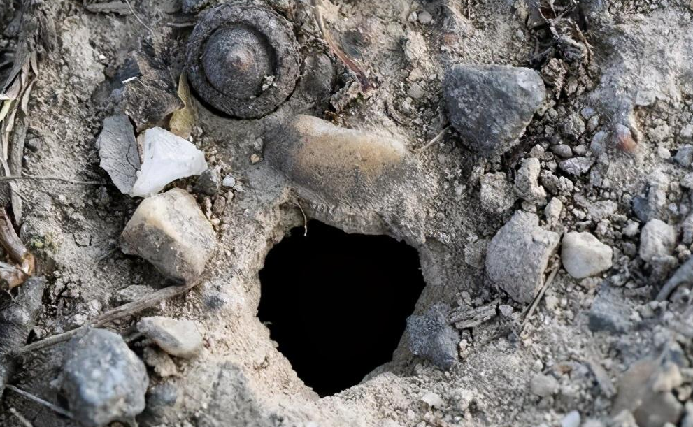 蝉幼虫生活的洞穴不是直接钻出来的.