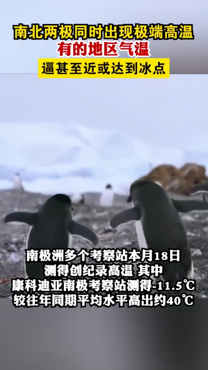 冬日暖阳破纪录，气温较往年同期飙升40度创历史新高