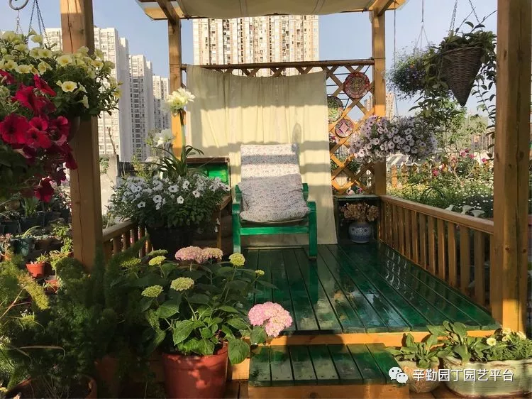 园丁奖花园组《002号》不离不弃,芳龄永继
