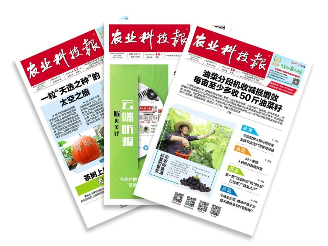 可以“听”的《农业科技报》——《农业科技报》数字报新增读报功能