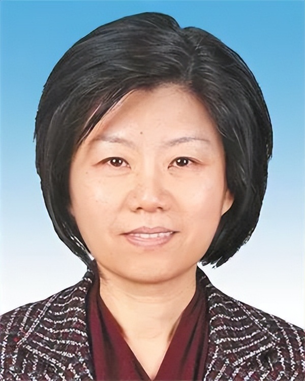 陳敏爾當選重慶市委書記，4人新晉常委｜王林虎，新職明確