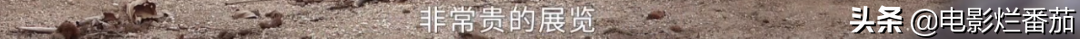 从豆瓣女神到炫富名媛，她只用了12年，终因一句“恶口”引发众怒