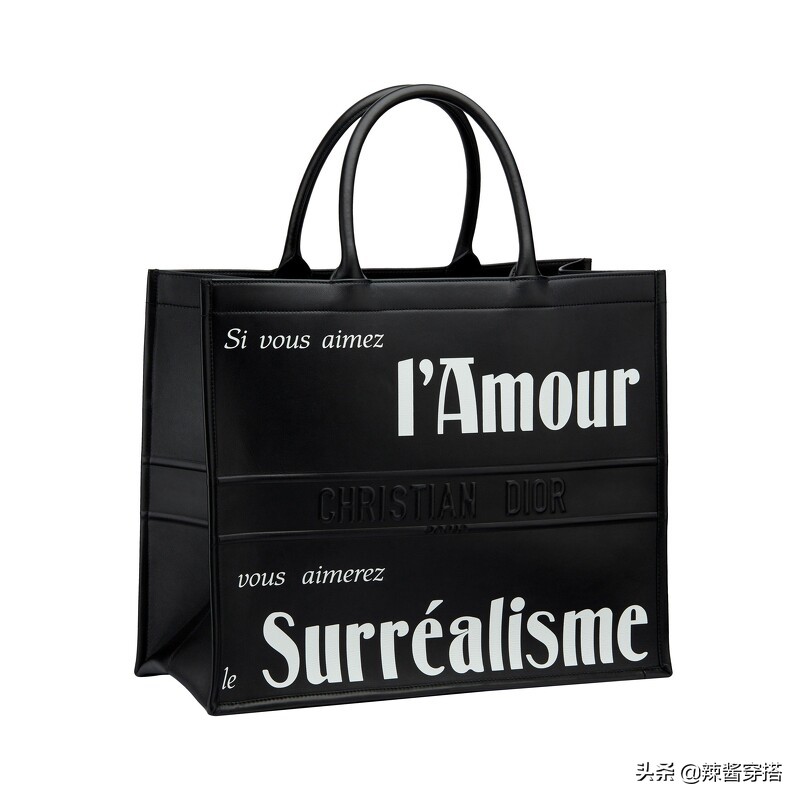 Dior Saddle、Book Tote到最新Micro Bag，一定要认识的5大经典包