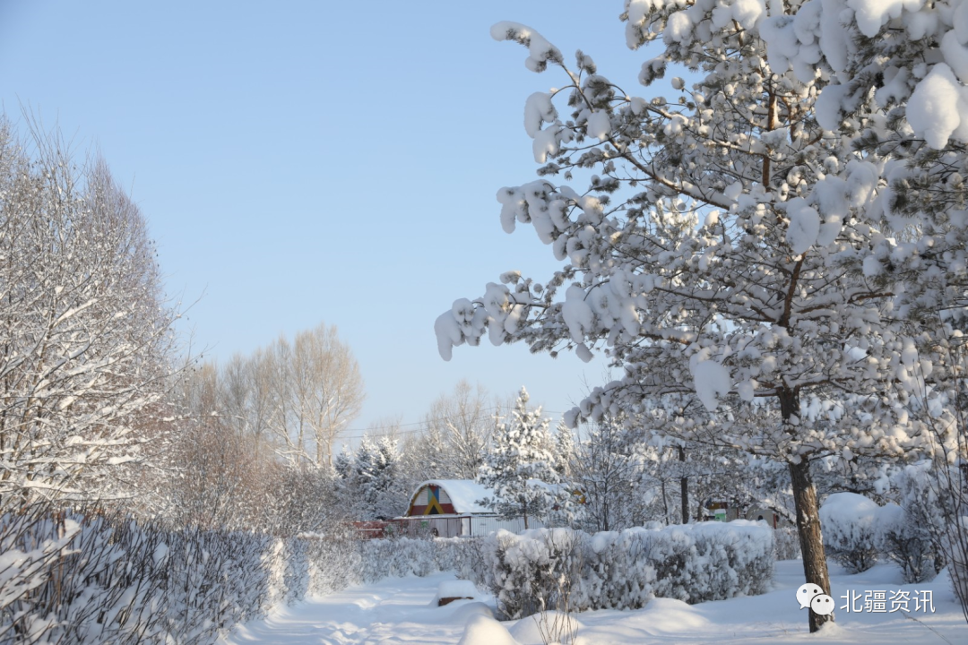 美图！三月春雪添诗意 玉树琼瑶美“出圈”