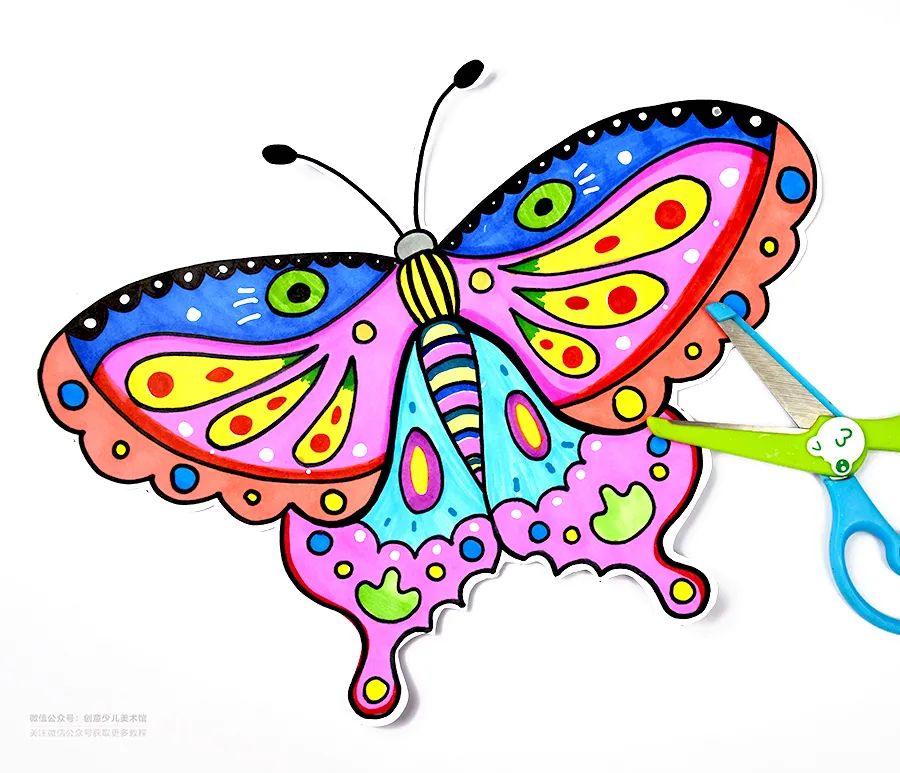 蝴蝶的颜色画画图片