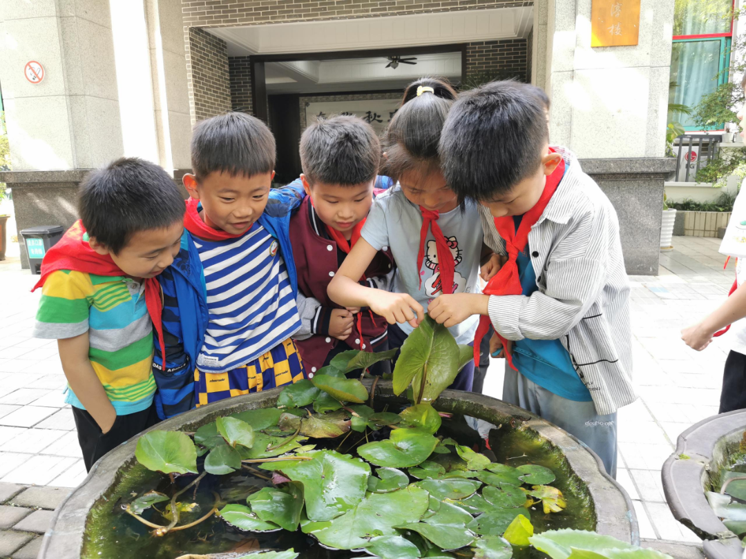 与书同行，不负春光——记天府新区华阳实验小学读书月活动
