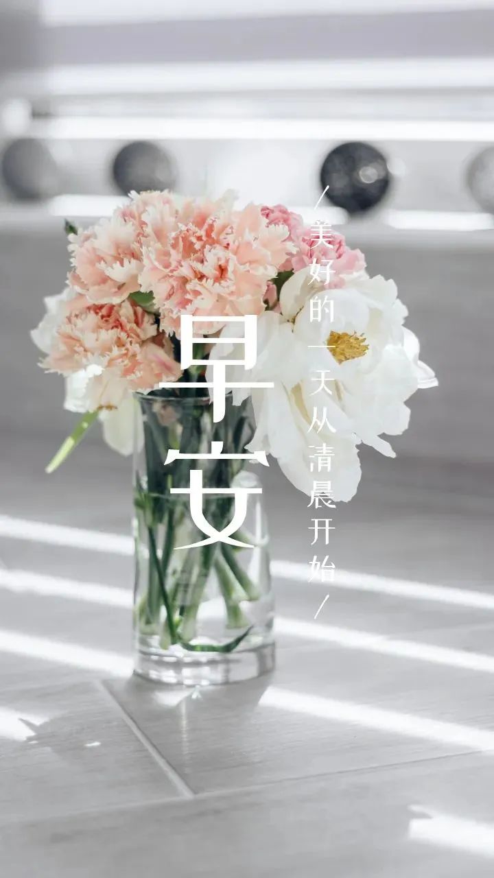 早安励志语录|迎接新的一天