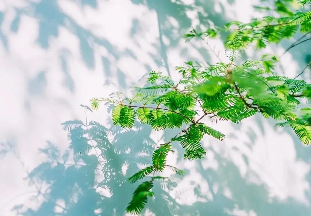 窗外,阳光晴好,微风不燥